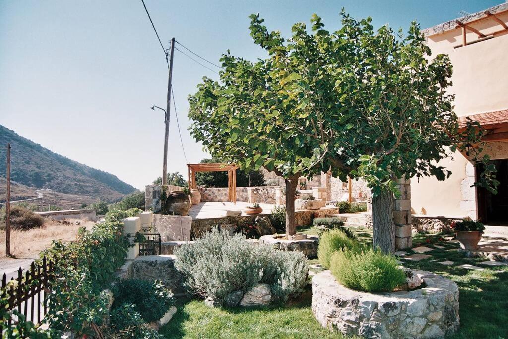 Traditional Villa With Pool In Sfakia Imbros Экстерьер фото